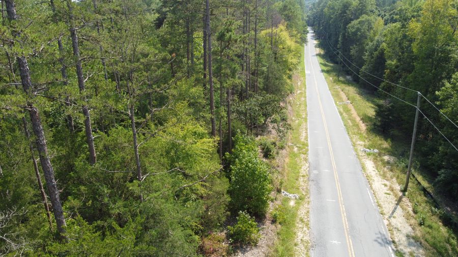 Riddle Mill Road running north through mature pine and hardwood.